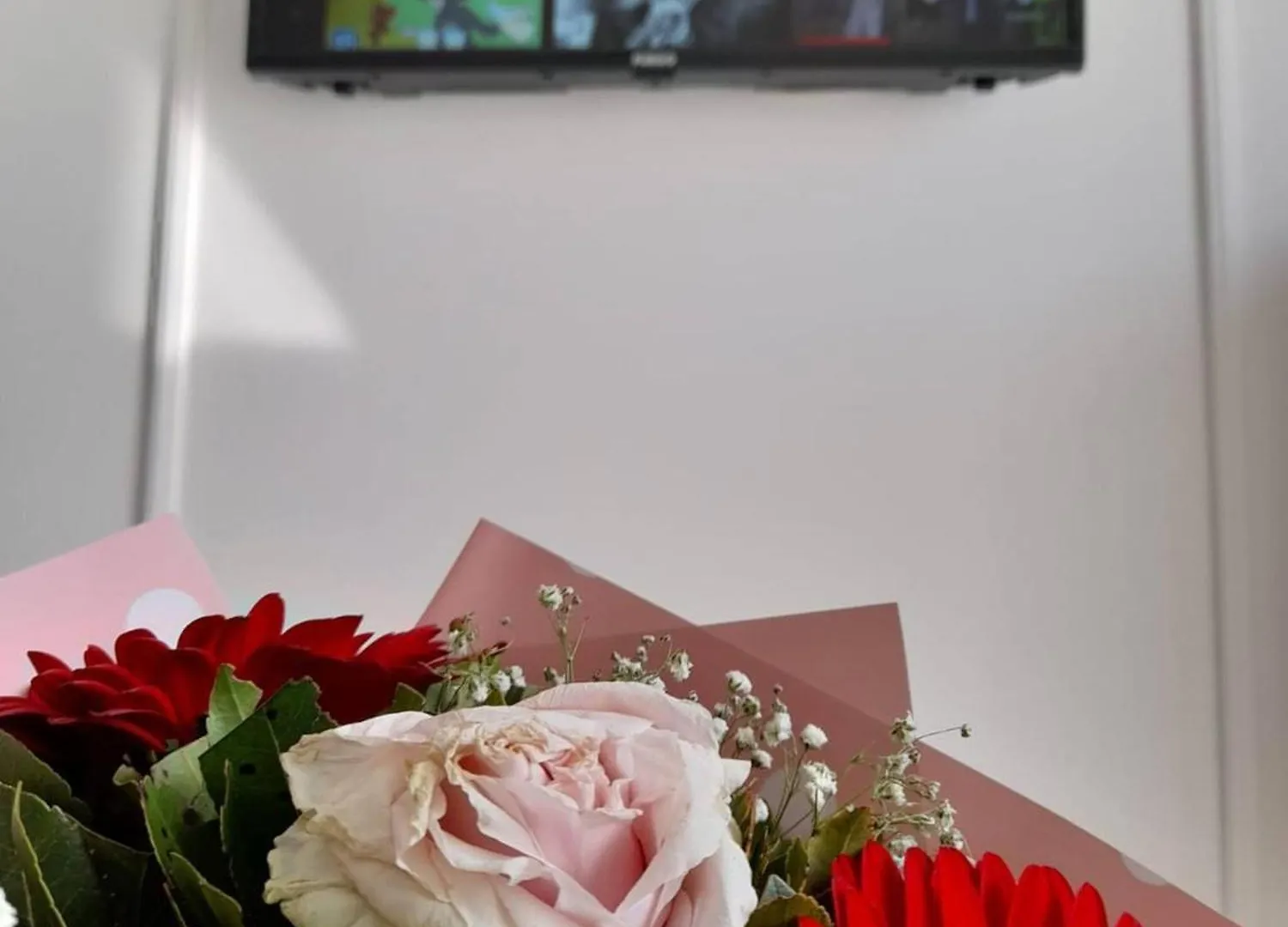 Studio Apartment Bela 1 Tirana
